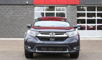 2019 HONDA CR-V full
