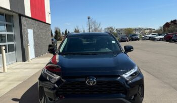 
2024 TOYOTA RAV4 XLE full								