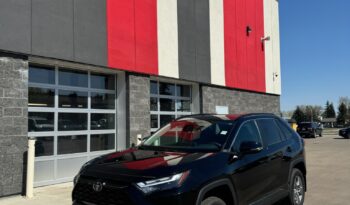 2023 TOYOTA RAV4 XLE full