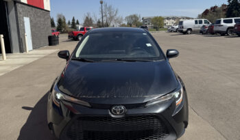 
2021 TOYOTA COROLLA LE full								