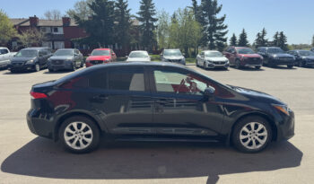 
2021 TOYOTA COROLLA LE full								