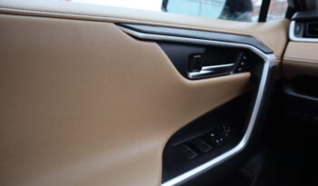 
2020 Toyota Rav4 full								