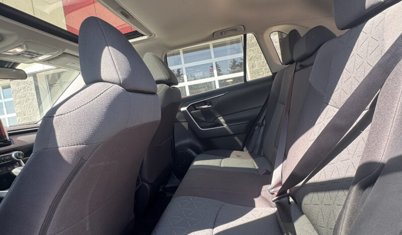 
2023 TOYOTA RAV4 XLE full									