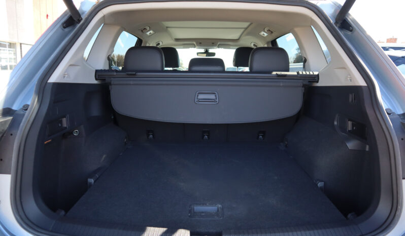 
2021 Volkswagen Tiguan full									