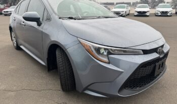 
2021 TOYOTA COROLLA full								