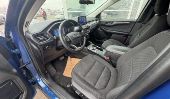 
2023 FORD ESCAPE ACTIVE full								