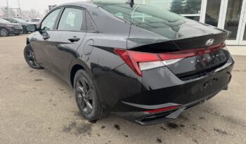 
2023 HYUNDAI ELANTRA SEL full								