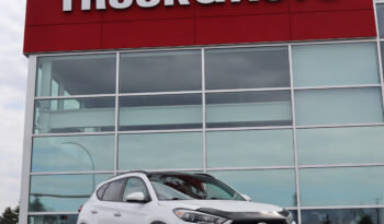 
2017 Hyundai Tuscon full								