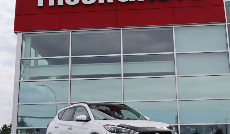 
2017 Hyundai Tuscon full									