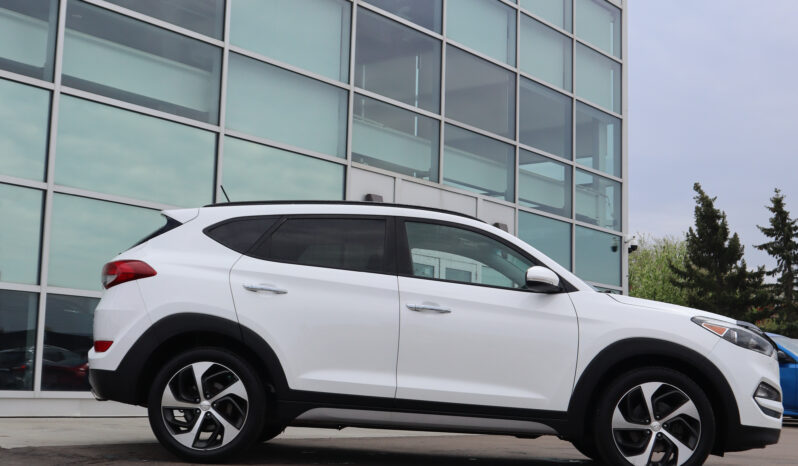 
2017 Hyundai Tuscon full									