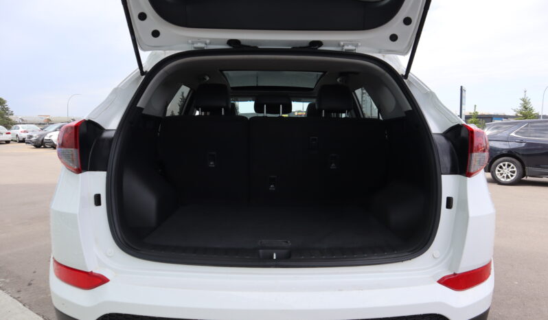 
2017 Hyundai Tuscon full									