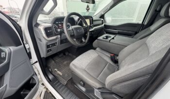 
2022 FORD F-150 XLT full								