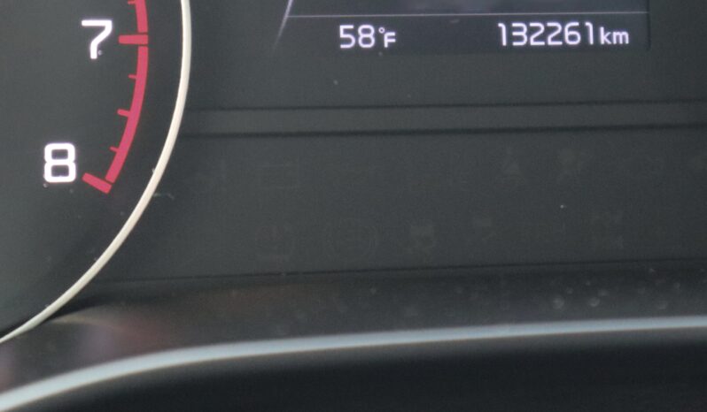 
2017 Kia Sportage full									