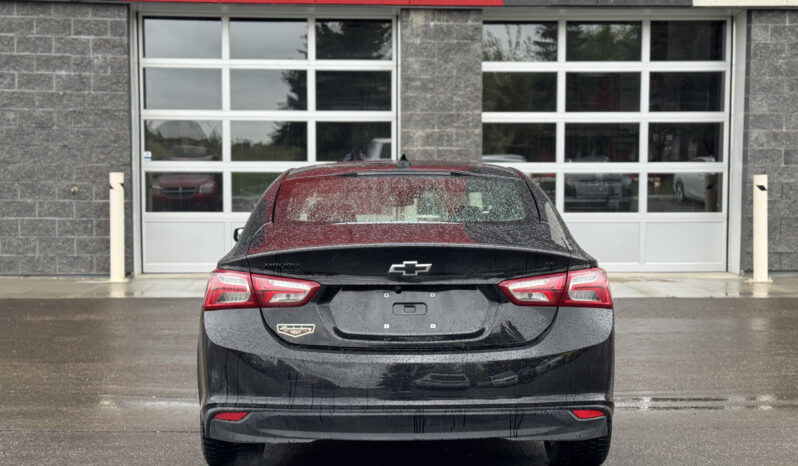 
2023 CHEVROLET MALIBU LT full									