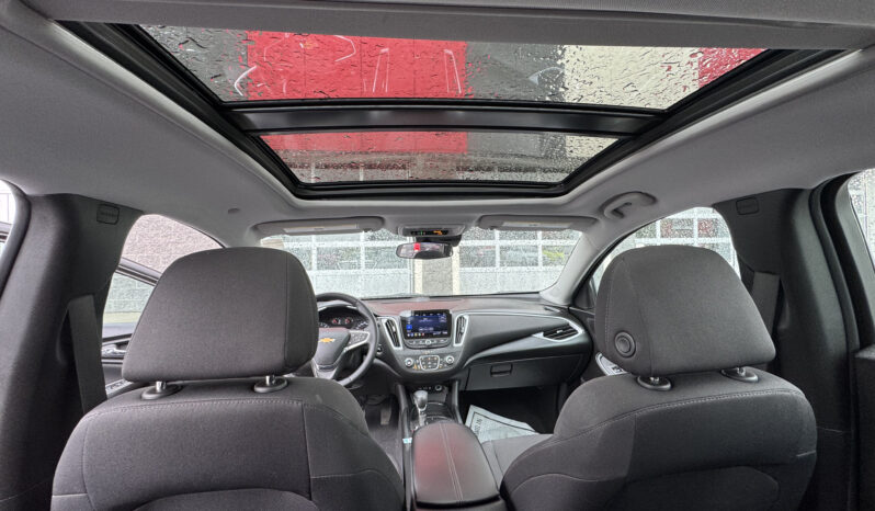 
2023 CHEVROLET MALIBU LT full									