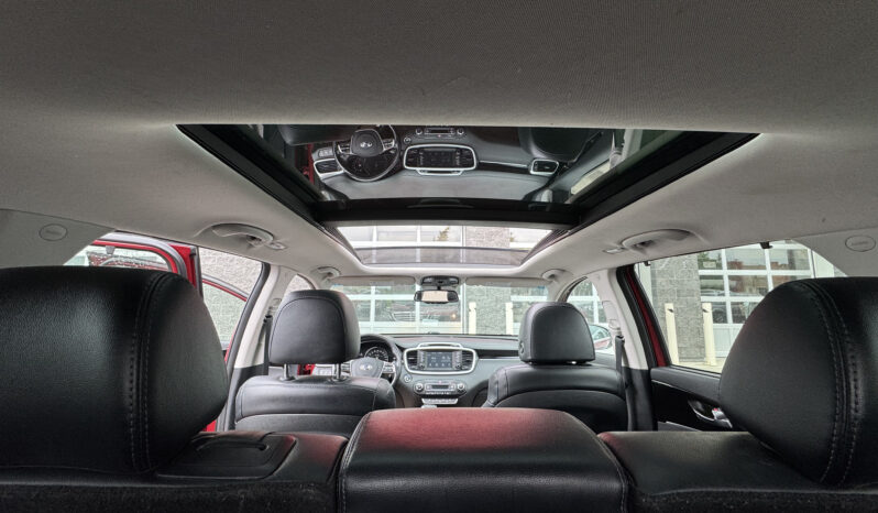 
2019 KIA SORENTO EX full									