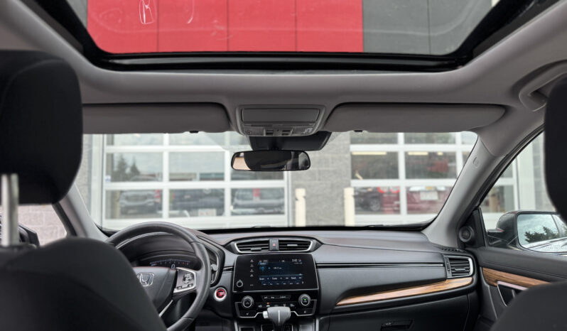 
2019 HONDA CR-V full									