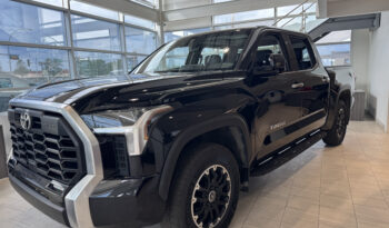 
2023 TOYOTA TUNDRA full								