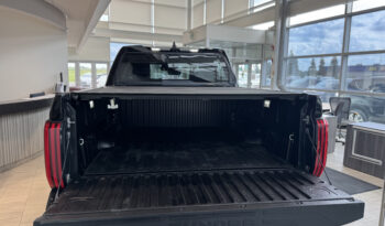 
2023 TOYOTA TUNDRA full								