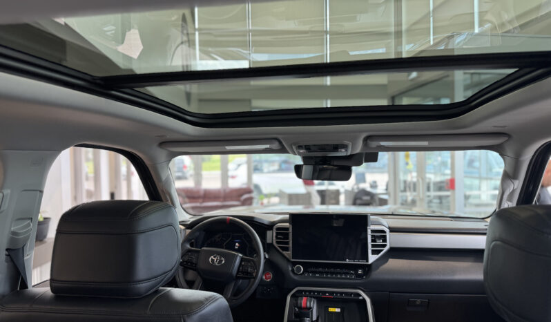 
2023 TOYOTA TUNDRA full									