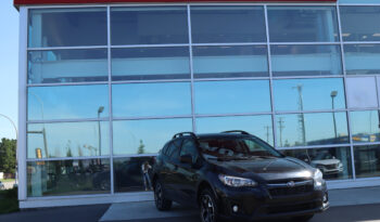 
2020 SUBARU CROSSTREK PREMIUM full								