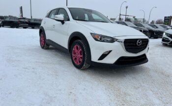 PHOTO-2025-12-12-13-41-55 (10)